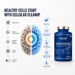 De-Age Spermidine Trihydrochloride 60 Capsules | Cellular & Healthy Aging Support