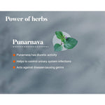 Himalaya Punarnava Tablet