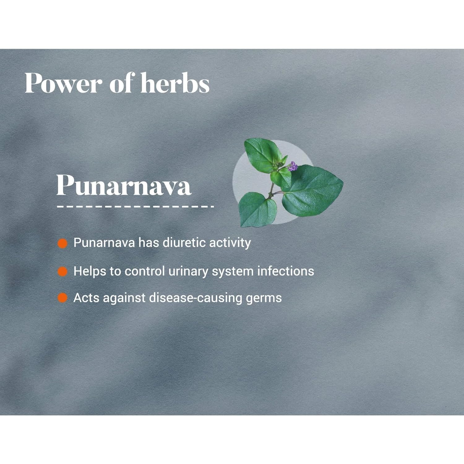 Himalaya Punarnava Tablet