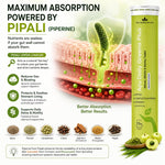 Ayu Daily Green+ Superfood Effervescent Tablets - 26 Ayurvedic Botanicals | ALKALIZING SUPERFOOD: 26 Ayurvedic botanicals with Moringa, Spirulina & 7 spices to relieve acidity & boost immunity.