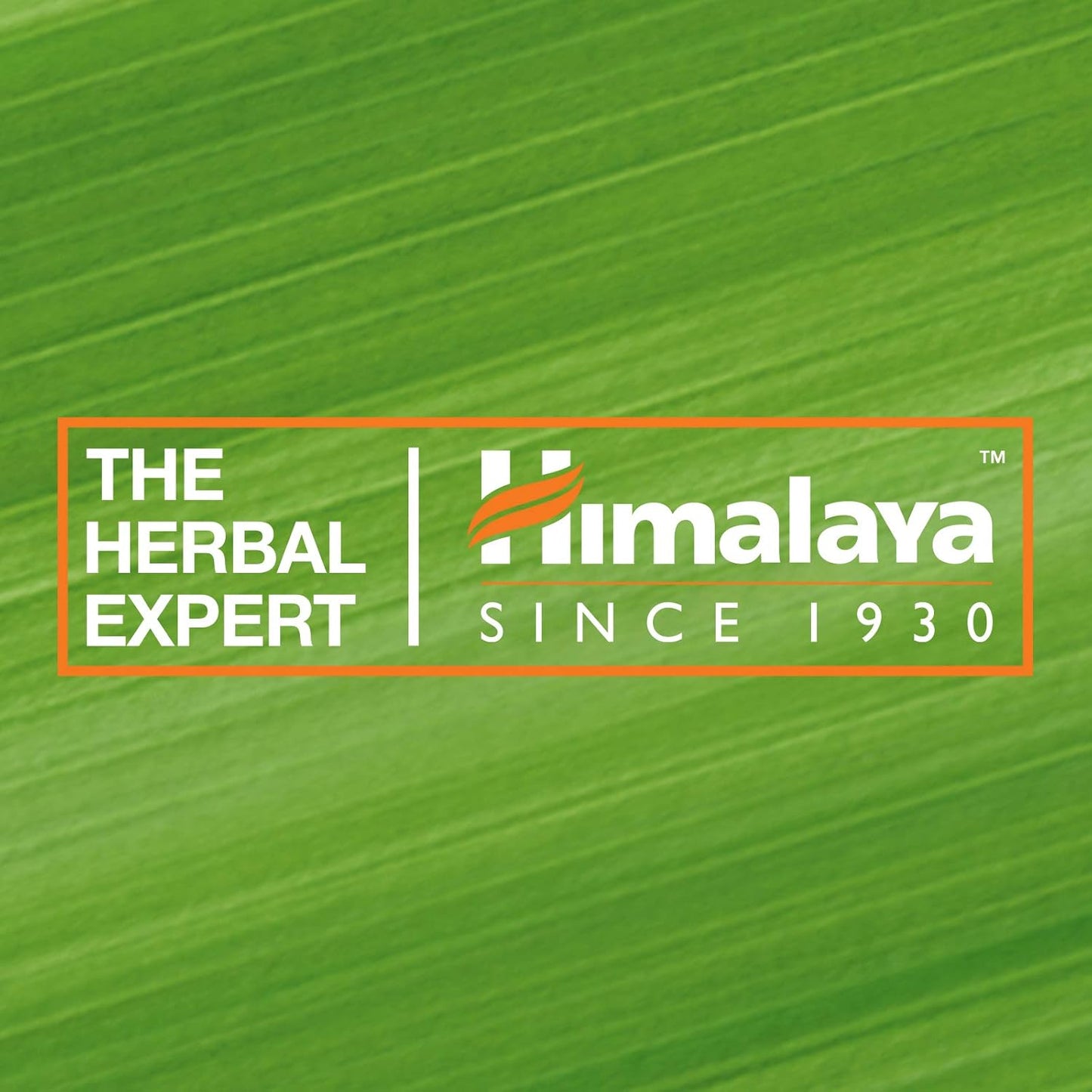 Himalaya Nourishing Skin Cream | Lightweight & Non-Greasy - 50gm