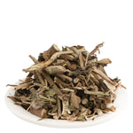 YUVIKA Bansa Kala - Adhatoda Vasica Nees - Malabar Nut Tree