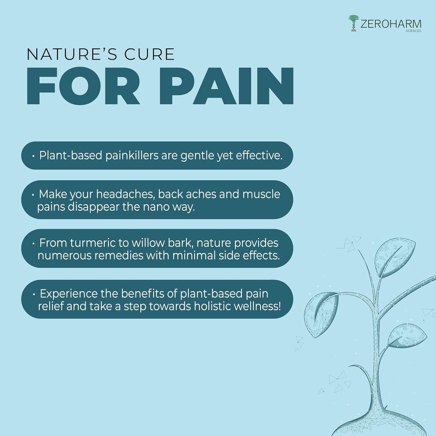 Zeroharm Holo Pain Relief Tablets - 60 Tablets