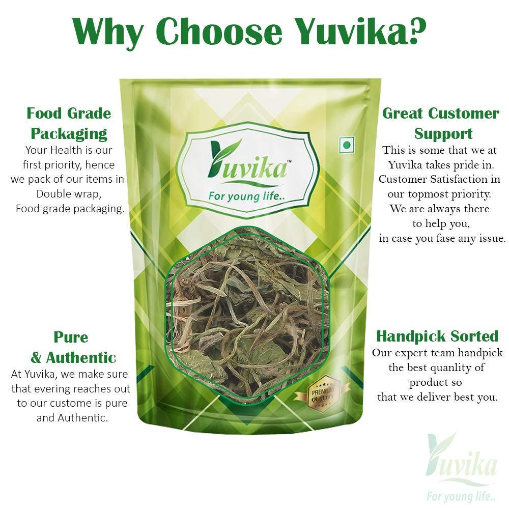 Yuvika Brahmi Booti Powder - Bacopa Monnieri Linn - Centella Asiatica Linn - Indian Pennywort