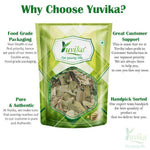 YUVIKA Chirmati Patta - Cirmitti Leaves - Gunja Leaves