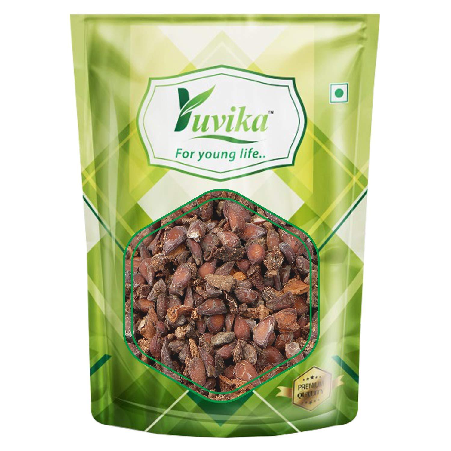 YUVIKA Bedana - Bidana Seeds - Pyrus Cydonia - Quince Seeds