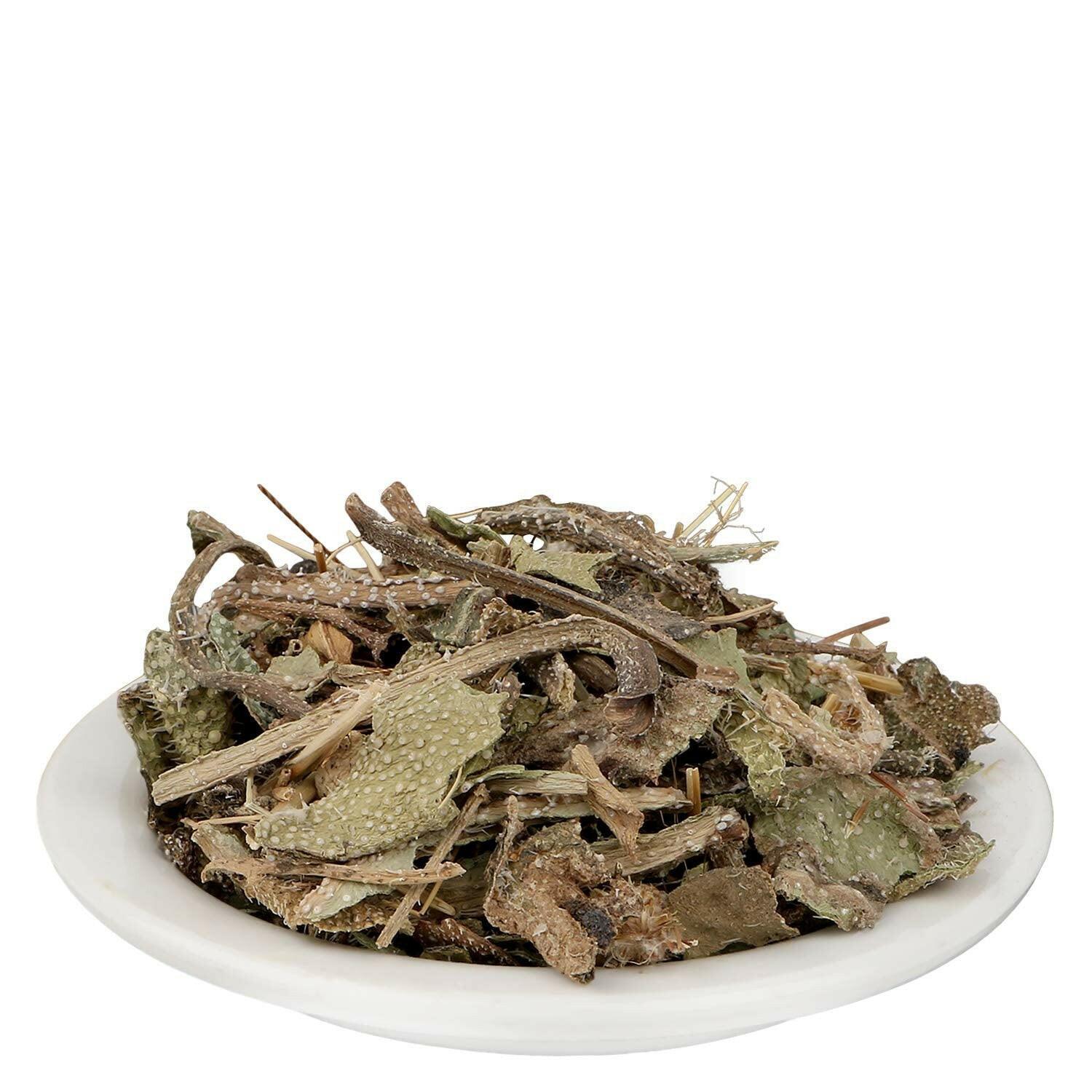 YUVIKA Gazwan - Gajwaa - Onosma Bracteatum