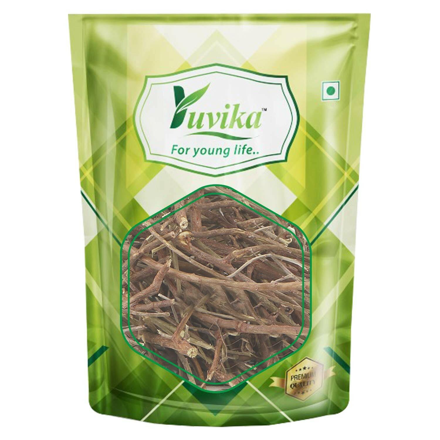 YUVIKA Ushva - Smilax Medica