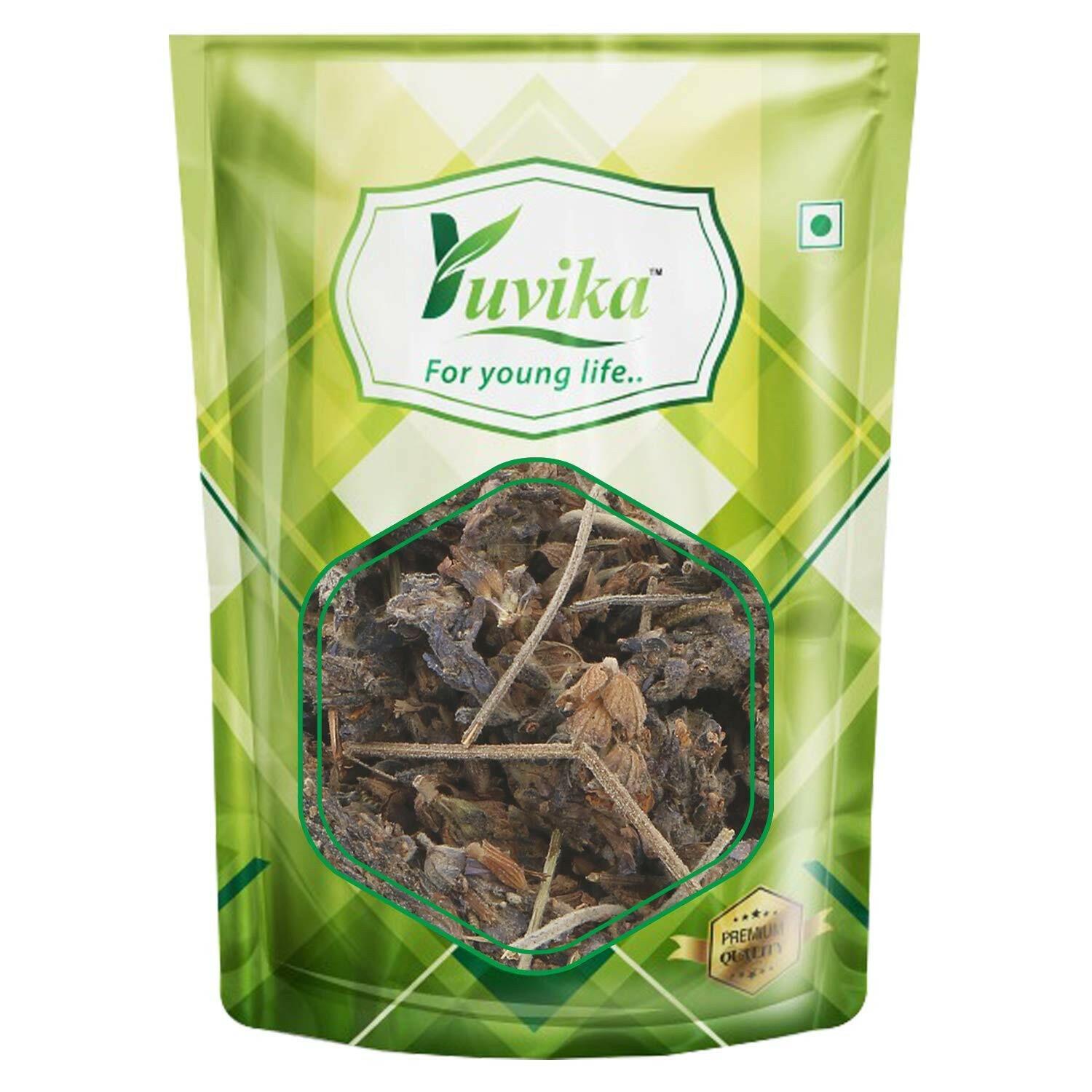 YUVIKA Ustekhadoos Asli - Uste Khadus - Lavandula Stoechas - Arabian Lavende