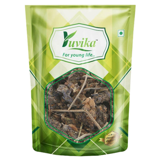 YUVIKA Ustekhadoos Asli - Uste Khadus - Lavandula Stoechas - Arabian Lavende