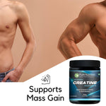 Pure Nutrition Micronised Creatine Monohydrate Powder