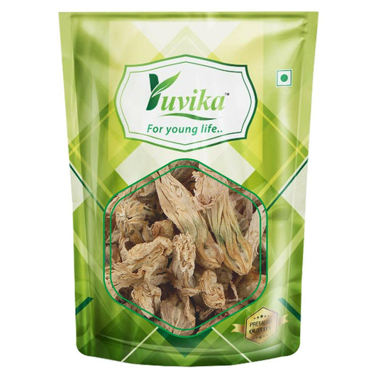 YUVIKA Gul Khera - Gul Khaira - Alcea Rosea