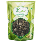 Yuvika Chadila - Pattar Phool Permalia Perlata - Stone Flower