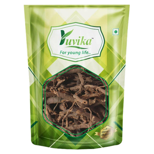 YUVIKA Chita Chilka Asli - Chitrak Chilka Asli - Plumbago Indica - Plumbago zeylanica