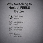Royal Swag Ayurvedic Herbal Wellness Sticks Regular Flavour - 100% Tobacco & Nicotine Free (20 Sticks)