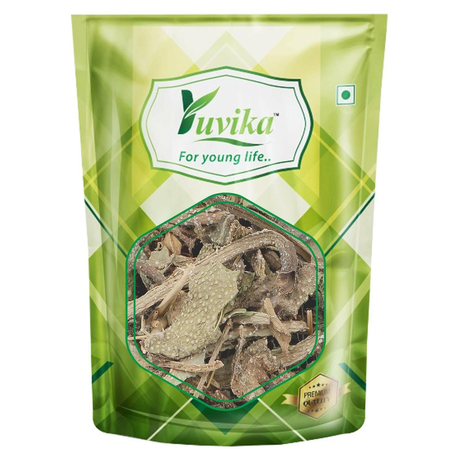 YUVIKA Gazwan - Gajwaa - Onosma Bracteatum