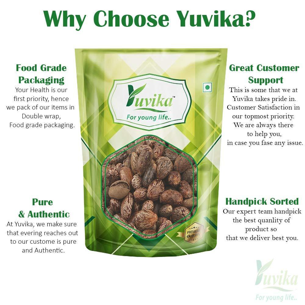 YUVIKA Beej Arandi - Ricinus Communis Linn - Castor Seeds