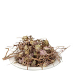 Yuvika Jufa - Zufa - Hyssopus Officinalis Linn - Hyssop - Issopo - Holy Herb