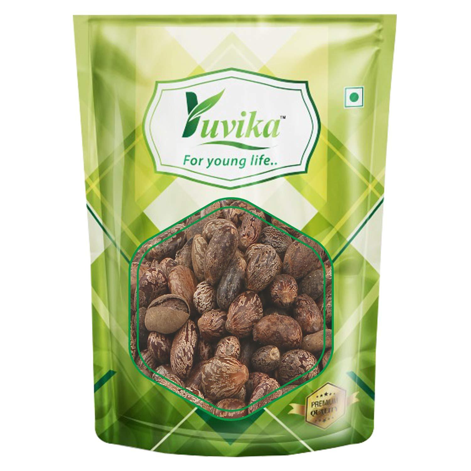 YUVIKA Beej Arandi - Ricinus Communis Linn - Castor Seeds