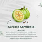 Indiherbs Wellness SHEDFAT Capsules,Pre Workout Supplement for Weight Loss,Garcia Cambogia,Green Tea & Guggul,100% Natural & Herbal Capsules