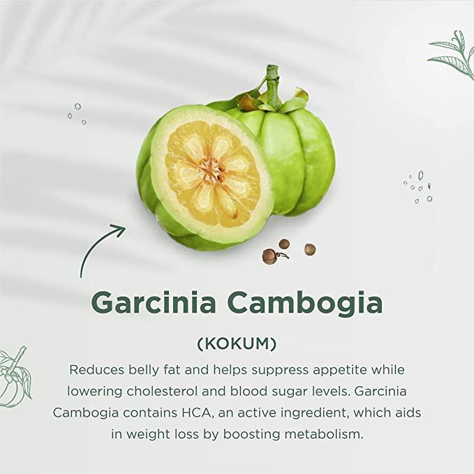 Indiherbs Wellness SHEDFAT Capsules,Pre Workout Supplement for Weight Loss,Garcia Cambogia,Green Tea & Guggul,100% Natural & Herbal Capsules