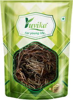 YUVIKA Mayur Shikha - Adiantum incisum