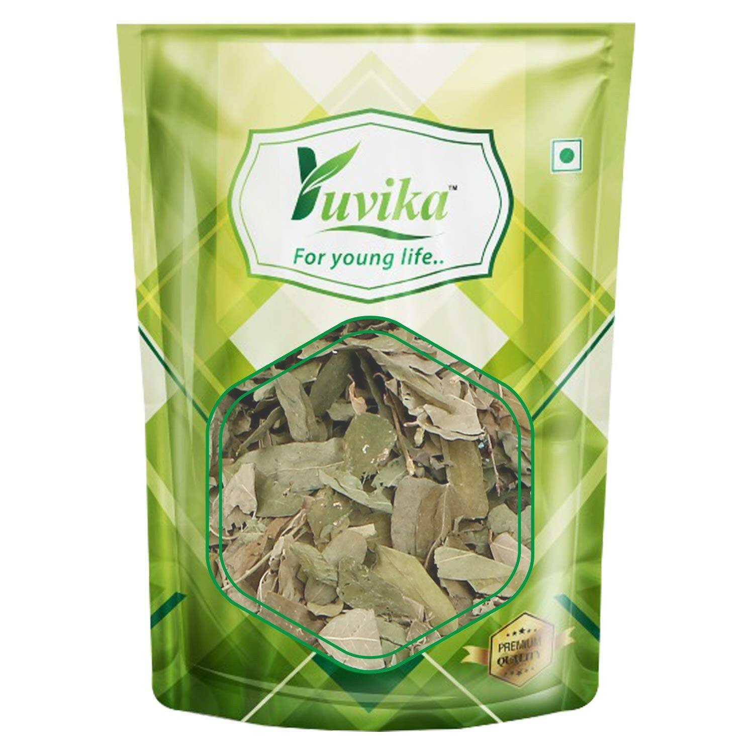 YUVIKA Chirmati Patta - Cirmitti Leaves - Gunja Leaves