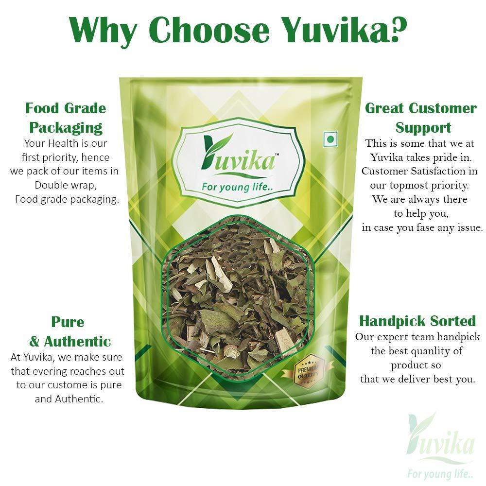 YUVIKA Bansa Hara - Adusa - Adoosa - Vasa - Adhatoda vasica Nees - Malabar Nut Tree