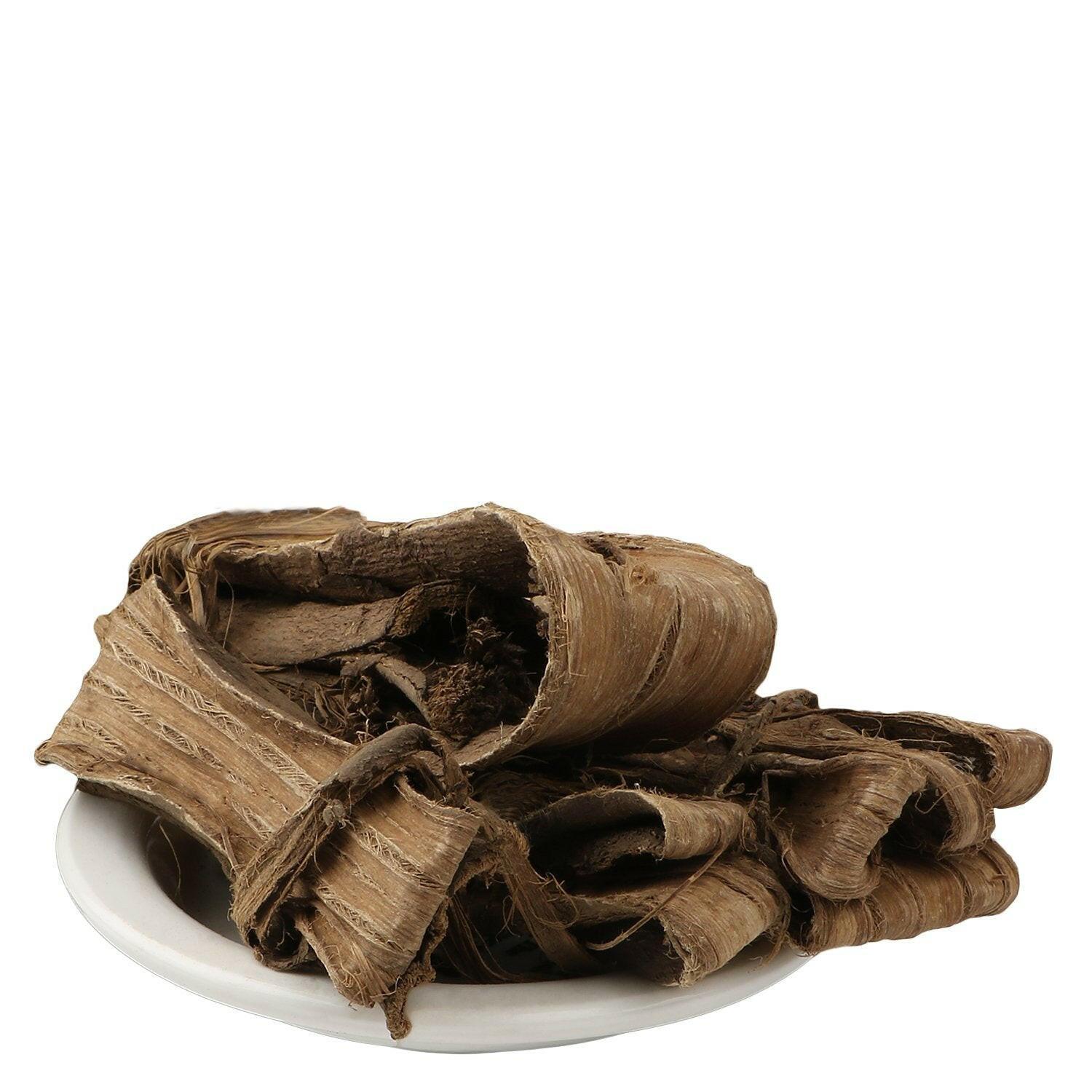 Yuvika Dandasa - Datoon - Juglans - Walnut Tree Peel