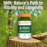 Pure Nutrition Liposomal NMN 30 Capsules | Cellular Energy & Healthy Aging Support Supplement