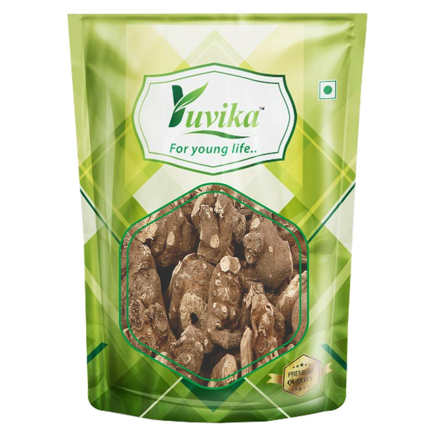 YUVIKA Pipla Mool Mota - Piplamool Mota - Peepla Mool