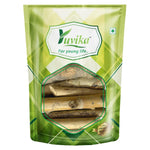 YUVIKA Arandmool - Arandi Ki Jadd - Erand Mool