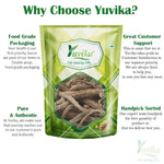 Yuvika Akarkara Spl. - Anacyclus Pyrethrum - Pellitory Root