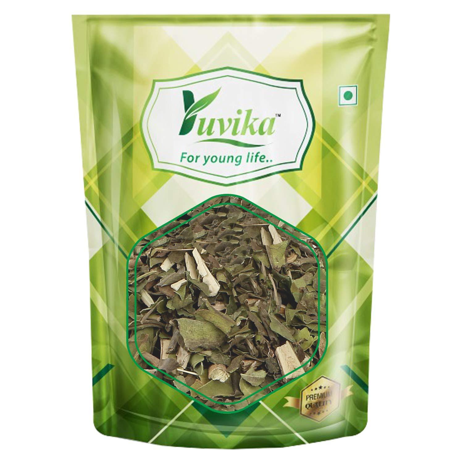YUVIKA Bansa Hara - Adusa - Adoosa - Vasa - Adhatoda vasica Nees - Malabar Nut Tree