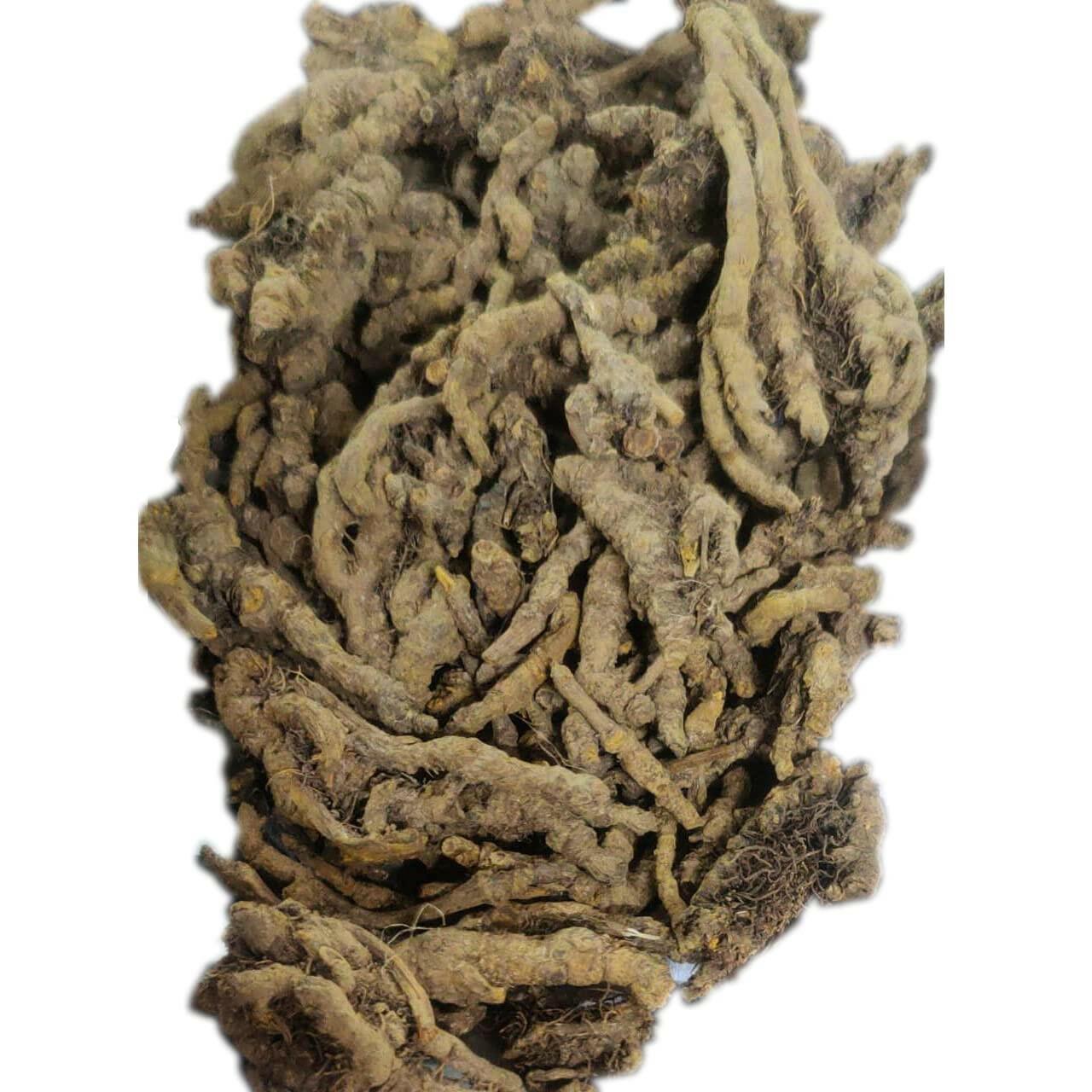 YUVIKA Mamira - Mameera - Mamiri - Haldiya - Bachnag - Coptis teeta - Indian goldthread