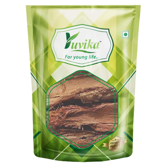 YUVIKA Ashoka Chilka Asli - Saraca asoca