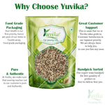 YUVIKA Apamarg Seeds - Apoot Kanta - Uttareni Seeds - Latrija Beej - Chirchita ka Beej