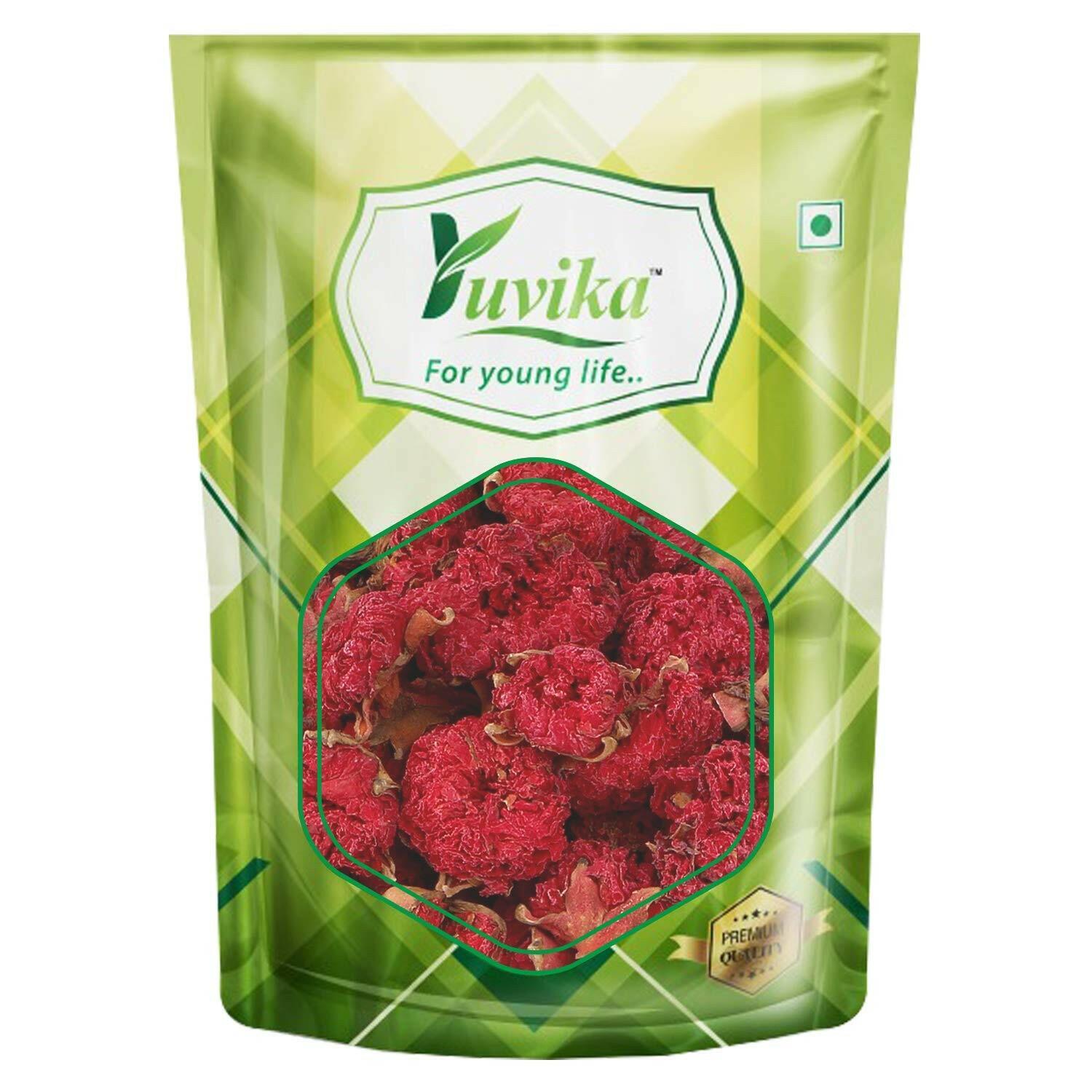 Yuvika Gule Anar - Anar Ka Phool - Punica Granatum - Pomegranate Flower