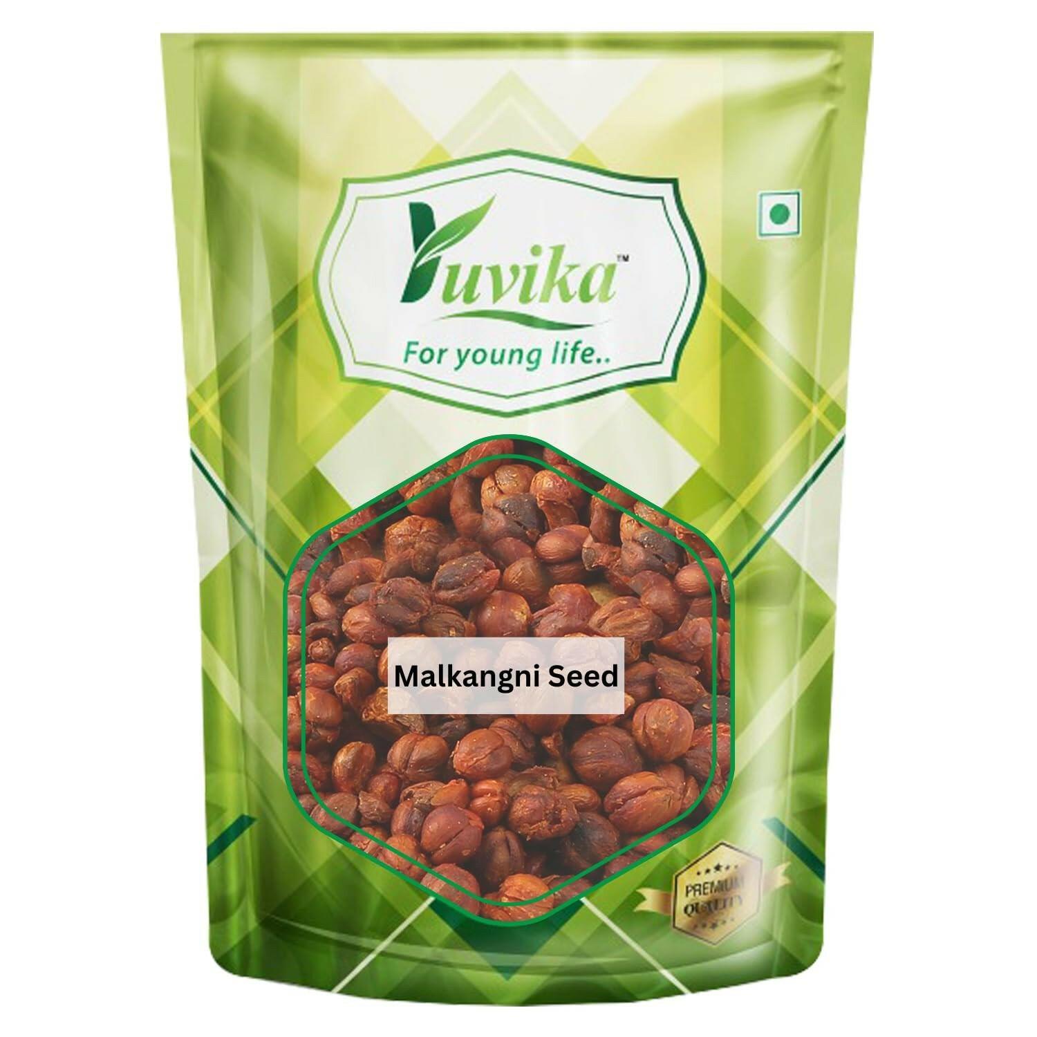 Yuvika Malkangni - Celastrus Paniculatus