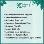 Kelifta by Feelgood Kefir® Milk Kefir Starter Culture Powder | 10 Pack - 50 Sachets | 60+ Live & Active Strains | Ferments 600+ Litres | For Dairy & Plant-Based Milk | Manual, Demo Video & Support