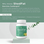 Indiherbs Wellness SHEDFAT Capsules,Pre Workout Supplement for Weight Loss,Garcia Cambogia,Green Tea & Guggul,100% Natural & Herbal Capsules
