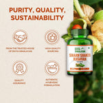 Divya Himalayan Swarn Shakti Rasayan Tablet for Energy Booster  - 30 Tablets