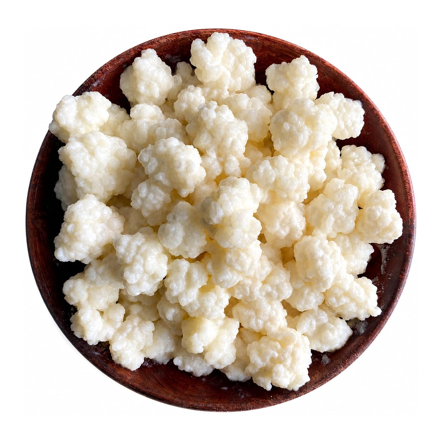 Kelifta by Feelgood Kefir®- Live Premium Large Sized Milk Kefir Grains (20g) | 95+ Live Active Strains | Includes Strainer & Spoon | Reusable & Multiplying | Kefir Probiotic