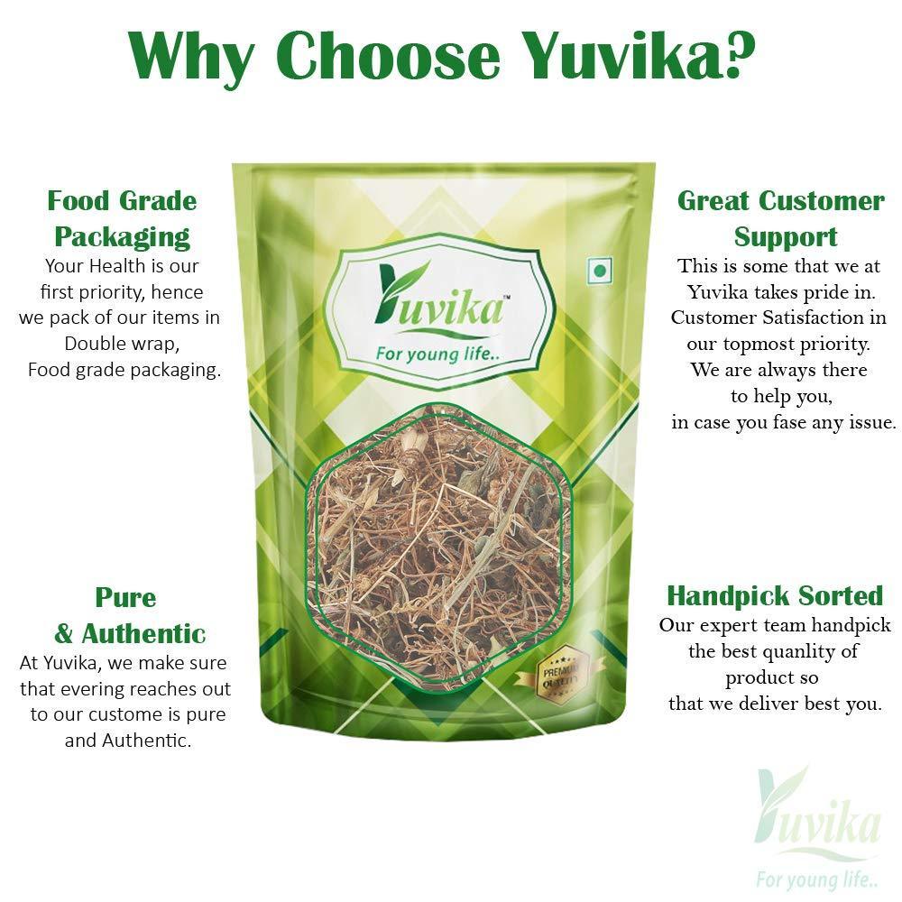 Yuvika Afteeyun Cuscuta Reflexa - Aftiun - Afttimoon - Amar Bel - Aakash Bel - Dodder