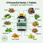 10 One Nutrition Sugar Shield Capsules 500mg (60 Veg Capsules) | Ayurvedic Support for Healthy Blood Sugar & Glucose Metabolism