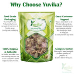 Yuvika Jufa - Zufa - Hyssopus Officinalis Linn - Hyssop - Issopo - Holy Herb