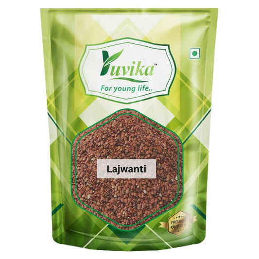Yuvika Lajwanti - Chuimui - Mimosa Pudica - Sensitive Plant Seeds