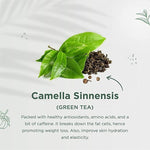 Indiherbs Wellness SHEDFAT Capsules,Pre Workout Supplement for Weight Loss,Garcia Cambogia,Green Tea & Guggul,100% Natural & Herbal Capsules