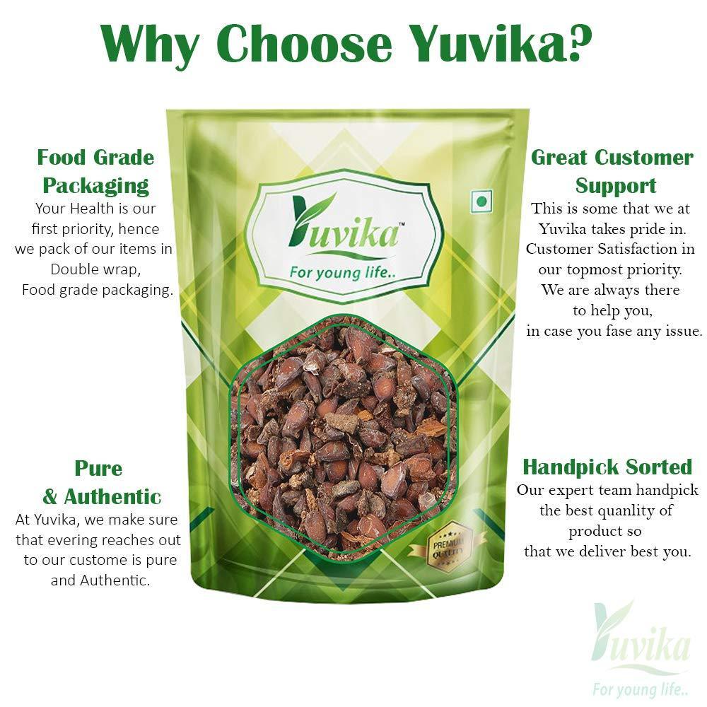 YUVIKA Bedana - Bidana Seeds - Pyrus Cydonia - Quince Seeds