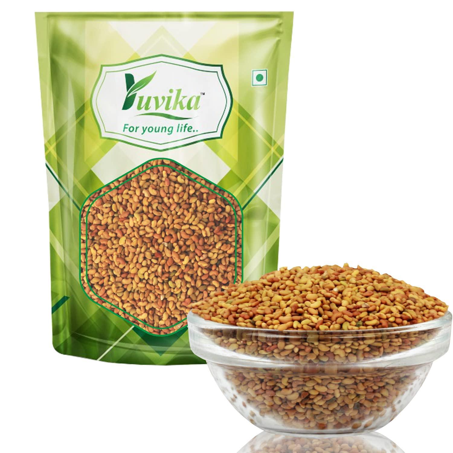 YUVIKA Alfa Seeds - Alfalfa Seeds